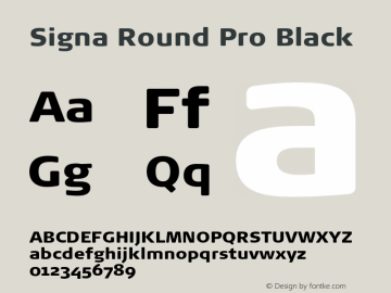 Signa Round Pro Black Version 7.504; 2017; Build 1032图片样张