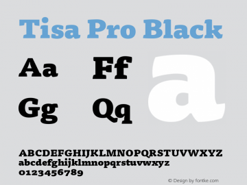 Tisa Pro Black Version 7.600, build 1027, FoPs, FL 5.04图片样张