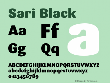 Sari Black Version 001.000 Font Sample