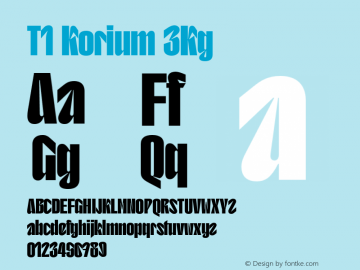 T1 Korium 3Kg Version 1.000;FEAKit 1.0图片样张