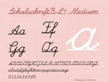 SchulschriftB-L1 Medium 001.000 Font Sample