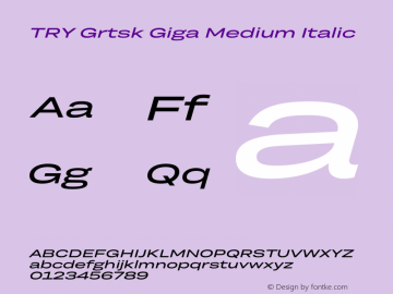 TRY Grtsk Giga Medium Italic Version 1.000图片样张