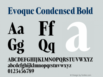 Evoque Condensed Bold Version 1.000图片样张