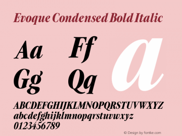 Evoque Condensed Bold Italic Version 1.000图片样张