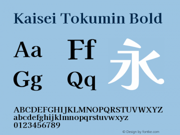 Kaisei Tokumin Bold Version 5.003图片样张