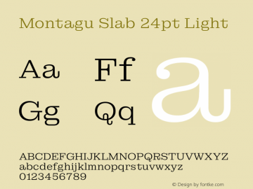 Montagu Slab 24pt Light Version 1.000图片样张