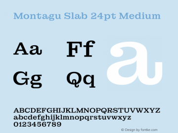 Montagu Slab 24pt Medium Version 1.000图片样张