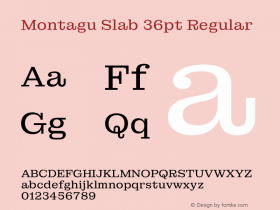 Montagu Slab 36pt Regular Version 1.000图片样张