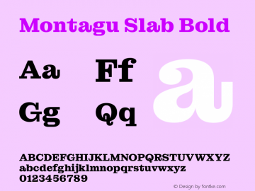 Montagu Slab Bold Version 1.000图片样张