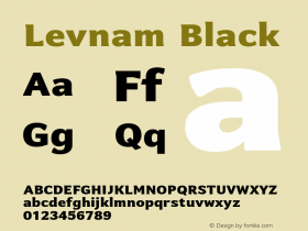 Levnam Black Version 001.000图片样张