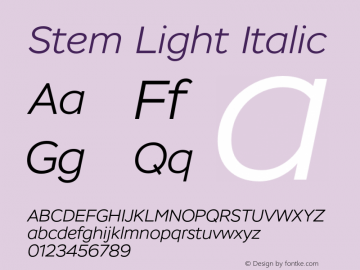 Stem Light Italic Version 1.001图片样张