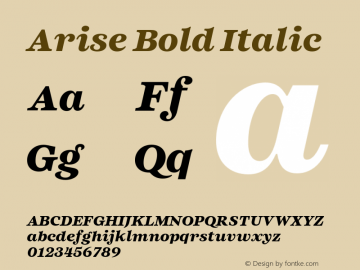 Arise Bold Italic Version 1.000;hotconv 1.0.109;makeotfexe 2.5.65596图片样张