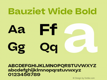 Bauziet Wide Bold Version 1.000;hotconv 1.0.109;makeotfexe 2.5.65596图片样张