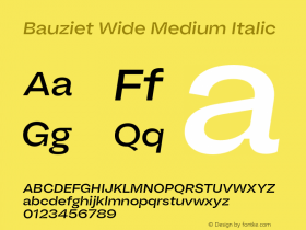 Bauziet Wide Medium Italic Version 1.000;hotconv 1.0.109;makeotfexe 2.5.65596图片样张