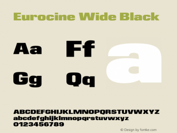 Eurocine Wide Black Version 1.000;PS 001.000;hotconv 1.0.88;makeotf.lib2.5.64775图片样张