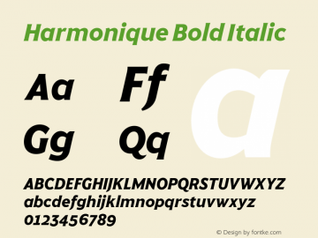 Harmonique Bold Italic Version 1.000;FEAKit 1.0图片样张