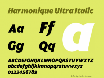 Harmonique Ultra Italic Version 1.000;FEAKit 1.0图片样张