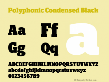 Polyphonic Condensed Black Version 1.000;PS 001.000;hotconv 1.0.88;makeotf.lib2.5.64775图片样张