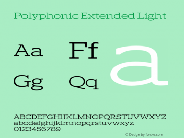 Polyphonic Extended Light Version 1.000;PS 001.000;hotconv 1.0.88;makeotf.lib2.5.64775图片样张