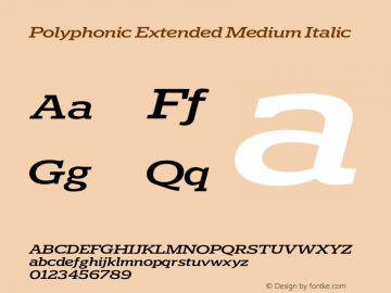 Polyphonic Extended Medium Italic Version 1.000;PS 001.000;hotconv 1.0.88;makeotf.lib2.5.64775图片样张