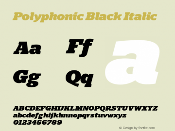 Polyphonic Black Italic Version 1.000;PS 001.000;hotconv 1.0.88;makeotf.lib2.5.64775图片样张
