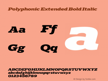 Polyphonic Extended Bold Italic Version 1.000;PS 001.000;hotconv 1.0.88;makeotf.lib2.5.64775图片样张