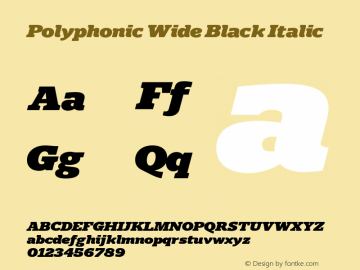 Polyphonic Wide Black Italic Version 1.000;PS 001.000;hotconv 1.0.88;makeotf.lib2.5.64775图片样张