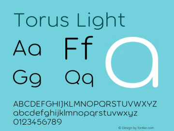 Torus Light Version 1.000;PS 001.000;hotconv 1.0.88;makeotf.lib2.5.64775图片样张