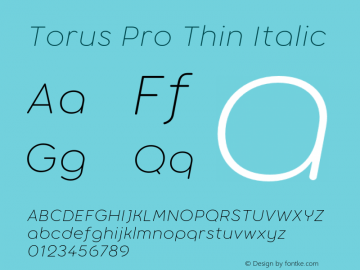 Torus Pro Thin Italic Version 1.000;FEAKit 1.0图片样张