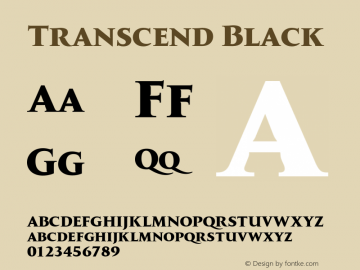 Transcend Black Version 1.000;hotconv 1.0.109;makeotfexe 2.5.65596图片样张