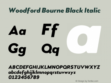 Woodford Bourne Black Italic Version 2.000;FEAKit 1.0图片样张