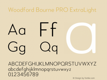 Woodford Bourne PRO ExtraLight Version 3.000;FEAKit 1.0图片样张