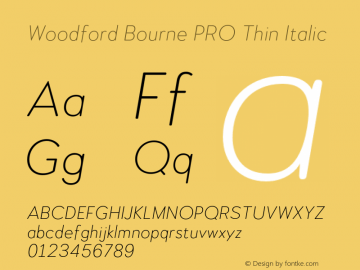 Woodford Bourne PRO Thin Italic Version 3.000;FEAKit 1.0图片样张
