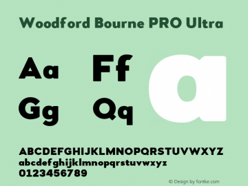 Woodford Bourne PRO Ultra Version 3.000;FEAKit 1.0图片样张