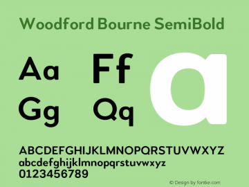 Woodford Bourne SemiBold Version 2.000;FEAKit 1.0图片样张