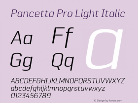 Pancetta Pro Light Italic Version 001.000图片样张