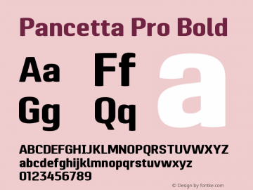 Pancetta Pro Bold Version 001.000图片样张