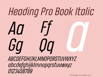 Heading Pro Book Italic Version 1.001图片样张