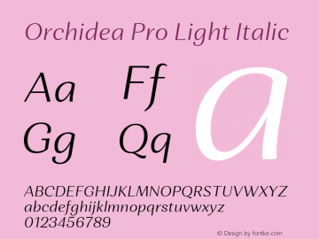 Orchidea Pro Light Italic Version 001.000图片样张