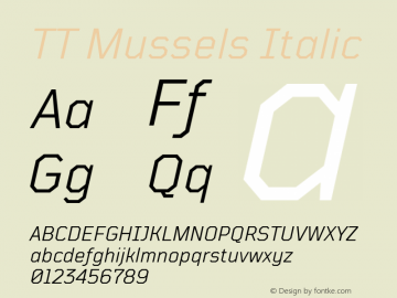 TTMussels-Italic Version 1.000图片样张