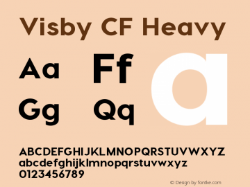 Visby CF Heavy Version 1.000;PS 002.000;hotconv 1.0.70;makeotf.lib2.5.58329图片样张