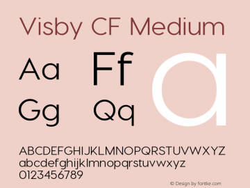 Visby CF Medium Version 1.000;PS 002.000;hotconv 1.0.70;makeotf.lib2.5.58329图片样张