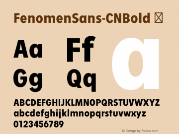 ☞Fenomen Sans CN Bold Version 1.001;PS 001.001;hotconv 1.0.70;makeotf.lib2.5.58329;com.myfonts.easy.signature-type-foundry.fenomen-sans.cn-bold.wfkit2.version.4nPW图片样张