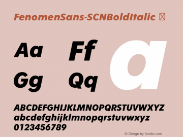 ☞Fenomen Sans SCN Bold Italic Version 1.001;PS 001.001;hotconv 1.0.70;makeotf.lib2.5.58329;com.myfonts.easy.signature-type-foundry.fenomen-sans.scn-bold-italic.wfkit2.version.4nQg图片样张