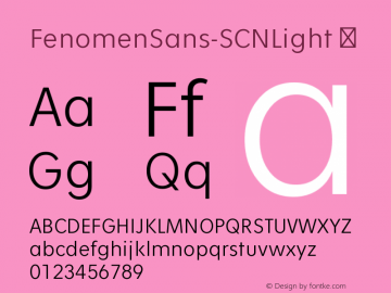 ☞Fenomen Sans SCN Light Version 1.001;PS 001.001;hotconv 1.0.70;makeotf.lib2.5.58329;com.myfonts.easy.signature-type-foundry.fenomen-sans.scn-light.wfkit2.version.4nQN图片样张