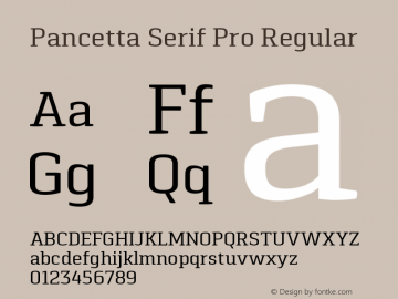 Pancetta Serif Pro Regular Version 001.000图片样张