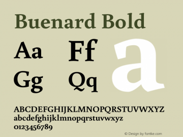 Buenard Bold Version 1.002 2011图片样张