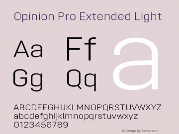Opinion Pro Extended Light Version 1.000图片样张