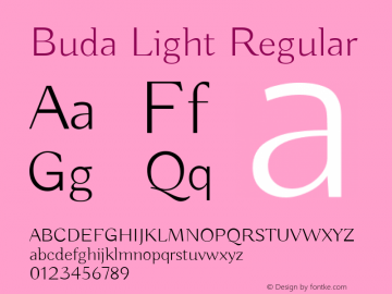 Buda Light Version 1.003图片样张