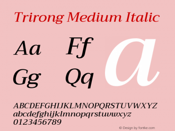 Trirong Medium Italic Version 1.001图片样张